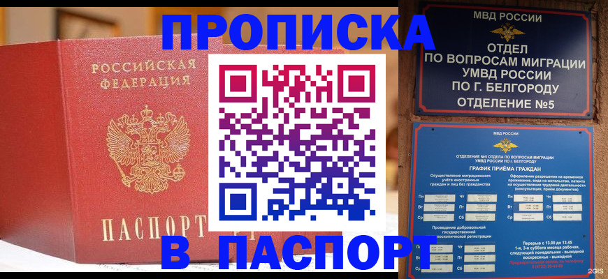 временная регистрация в квартире в Тереке